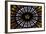 France, Alsace, Strasbourg, Strasbourg Cathedral, Stained Glass Window, Rose Window-Samuel Magal-Framed Photographic Print