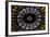 France, Alsace, Strasbourg, Strasbourg Cathedral, Stained Glass Window, Rose Window-Samuel Magal-Framed Photographic Print