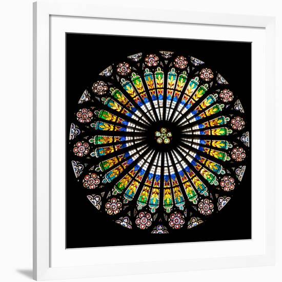 France, Alsace, Strasbourg, Strasbourg Cathedral, Stained Glass Window, Rose Window-Samuel Magal-Framed Photographic Print