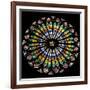 France, Alsace, Strasbourg, Strasbourg Cathedral, Stained Glass Window, Rose Window-Samuel Magal-Framed Photographic Print