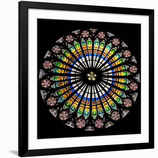 France, Alsace, Strasbourg, Strasbourg Cathedral, Stained Glass Window, Rose Window-Samuel Magal-Framed Photographic Print