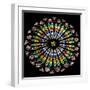 France, Alsace, Strasbourg, Strasbourg Cathedral, Stained Glass Window, Rose Window-Samuel Magal-Framed Photographic Print