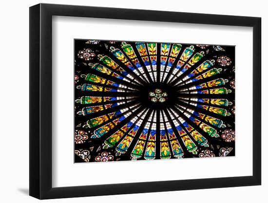 France, Alsace, Strasbourg, Strasbourg Cathedral, Stained Glass Window, Rose Window-Samuel Magal-Framed Photographic Print