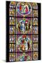 France, Alsace, Strasbourg, Strasbourg Cathedral, Stained Glass Window, Solomon Judgment and Angel-Samuel Magal-Mounted Photographic Print