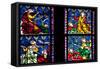 France, Alsace, Strasbourg, Strasbourg Cathedral, Stained Glass Window, Vices Overcome by Virtues-Samuel Magal-Framed Stretched Canvas