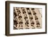 France, Amiens Cathedral (World Heritage Site), South Transept, Portal of the Golden Virgin-Samuel Magal-Framed Photographic Print