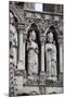 France, Amiens Cathedral (World Heritage Site), West Facade, Gallery of Kings-Samuel Magal-Mounted Photographic Print