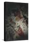 France, Aquitaine, Lascaux Grotto, Restoration Intervention on Upper Paleolithic Cave Painting-null-Stretched Canvas