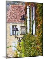 France, Aquitaine Region, Dordogne Department, Sarlat-La-Caneda, Rue Montaigne-Walter Bibikow-Mounted Photographic Print