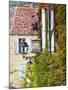 France, Aquitaine Region, Dordogne Department, Sarlat-La-Caneda, Rue Montaigne-Walter Bibikow-Mounted Photographic Print