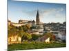 France, Aquitaine Region, Gironde Department, St-Emilion, Wine Town, Town View with Eglise Monolith-Walter Bibikow-Mounted Photographic Print