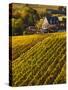 France, Aquitaine Region, Gironde Department, St-Emilion, Wine Town, Unesco-Listed Vineyards-Walter Bibikow-Stretched Canvas