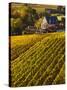 France, Aquitaine Region, Gironde Department, St-Emilion, Wine Town, Unesco-Listed Vineyards-Walter Bibikow-Stretched Canvas