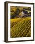 France, Aquitaine Region, Gironde Department, St-Emilion, Wine Town, Unesco-Listed Vineyards-Walter Bibikow-Framed Photographic Print