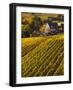 France, Aquitaine Region, Gironde Department, St-Emilion, Wine Town, Unesco-Listed Vineyards-Walter Bibikow-Framed Photographic Print