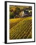 France, Aquitaine Region, Gironde Department, St-Emilion, Wine Town, Unesco-Listed Vineyards-Walter Bibikow-Framed Photographic Print