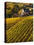France, Aquitaine Region, Gironde Department, St-Emilion, Wine Town, Unesco-Listed Vineyards-Walter Bibikow-Stretched Canvas
