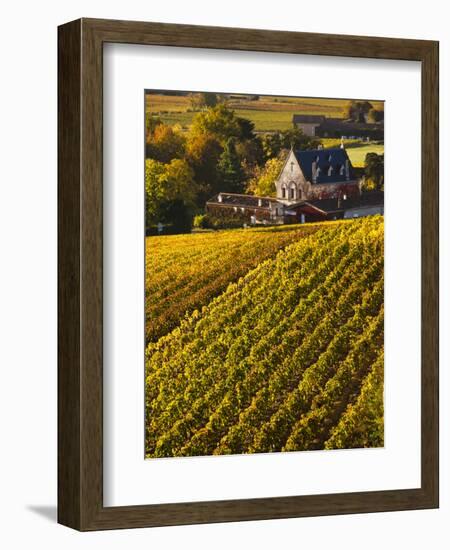 France, Aquitaine Region, Gironde Department, St-Emilion, Wine Town, Unesco-Listed Vineyards-Walter Bibikow-Framed Photographic Print