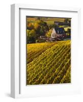 France, Aquitaine Region, Gironde Department, St-Emilion, Wine Town, Unesco-Listed Vineyards-Walter Bibikow-Framed Photographic Print