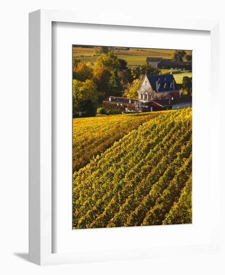 France, Aquitaine Region, Gironde Department, St-Emilion, Wine Town, Unesco-Listed Vineyards-Walter Bibikow-Framed Photographic Print