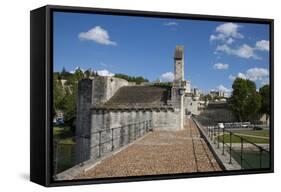 France, Avignon, Pont St Benezet and the Chapel-null-Framed Stretched Canvas