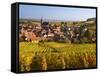 France, Bas-Rhin, Alsace Region, Alasatian Wine Route, Blienschwiller, Town Overview from Vineyards-Walter Bibikow-Framed Stretched Canvas