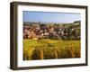 France, Bas-Rhin, Alsace Region, Alasatian Wine Route, Blienschwiller, Town Overview from Vineyards-Walter Bibikow-Framed Photographic Print