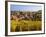 France, Bas-Rhin, Alsace Region, Alasatian Wine Route, Blienschwiller, Town Overview from Vineyards-Walter Bibikow-Framed Photographic Print