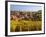 France, Bas-Rhin, Alsace Region, Alasatian Wine Route, Blienschwiller, Town Overview from Vineyards-Walter Bibikow-Framed Photographic Print