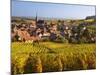 France, Bas-Rhin, Alsace Region, Alasatian Wine Route, Blienschwiller, Town Overview from Vineyards-Walter Bibikow-Mounted Photographic Print