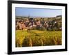 France, Bas-Rhin, Alsace Region, Alasatian Wine Route, Blienschwiller, Town Overview from Vineyards-Walter Bibikow-Framed Photographic Print