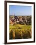 France, Bas-Rhin, Alsace Region, Alasatian Wine Route, Blienschwiller, Town Overview from Vineyards-Walter Bibikow-Framed Photographic Print