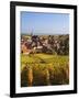 France, Bas-Rhin, Alsace Region, Alasatian Wine Route, Blienschwiller, Town Overview from Vineyards-Walter Bibikow-Framed Photographic Print