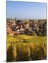 France, Bas-Rhin, Alsace Region, Alasatian Wine Route, Blienschwiller, Town Overview from Vineyards-Walter Bibikow-Mounted Photographic Print