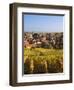 France, Bas-Rhin, Alsace Region, Alasatian Wine Route, Blienschwiller, Town Overview from Vineyards-Walter Bibikow-Framed Photographic Print