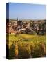 France, Bas-Rhin, Alsace Region, Alasatian Wine Route, Blienschwiller, Town Overview from Vineyards-Walter Bibikow-Stretched Canvas