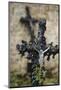 France, Basse-Normandy, Manche, Cemetery of the Abbey Mont-Saint-Michel, Crucifix-Andreas Keil-Mounted Photographic Print