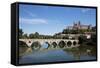 France, Beziers, Cathedral of St Nazaire and St-null-Framed Stretched Canvas