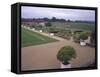 France, Bourgogne, Surroundings of Palinges, Castle of Digoine, Orange Grove-null-Framed Stretched Canvas