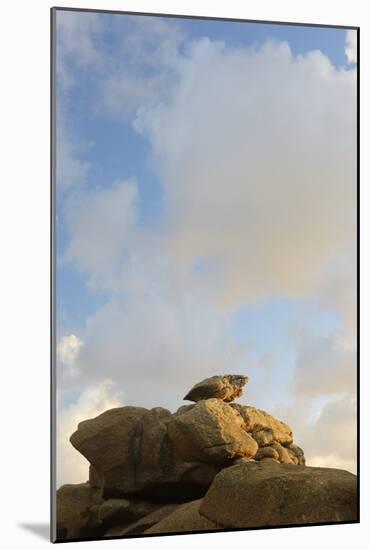 France, Brittany, C™tes-D'Armor, C™te De Granit Rose, Ploumanac'H-Andreas Keil-Mounted Photographic Print