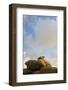 France, Brittany, C™tes-D'Armor, C™te De Granit Rose, Ploumanac'H-Andreas Keil-Framed Photographic Print