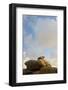 France, Brittany, C™tes-D'Armor, C™te De Granit Rose, Ploumanac'H-Andreas Keil-Framed Photographic Print