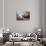 France, Brittany, C™tes-D'Armor, C™te De Granit Rose, Ploumanac'H-Andreas Keil-Photographic Print displayed on a wall