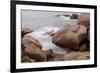 France, Brittany, C™tes-D'Armor, C™te De Granit Rose, Ploumanac'H-Andreas Keil-Framed Photographic Print