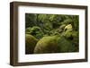 France, Brittany, Finistre, Hualgoat, Rivire D'Argent-Andreas Keil-Framed Photographic Print