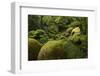 France, Brittany, Finistre, Hualgoat, Rivire D'Argent-Andreas Keil-Framed Photographic Print