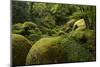 France, Brittany, Finistre, Hualgoat, Rivire D'Argent-Andreas Keil-Mounted Photographic Print