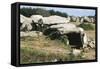France, Brittany, Surroundings of Carnac, Prehistoric Megalithic Stone Alignments, Kermario Dolmen-null-Framed Stretched Canvas