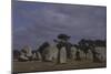 France, Brittany, Surroundings of Carnac, Prehistoric Megalithic Stone Alignments, Kermario Menhir-null-Mounted Giclee Print