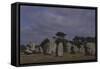 France, Brittany, Surroundings of Carnac, Prehistoric Megalithic Stone Alignments, Kermario Menhir-null-Framed Stretched Canvas